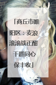 商丘市睢阳区：麦浪滚滚战正酣 干群同心保丰收